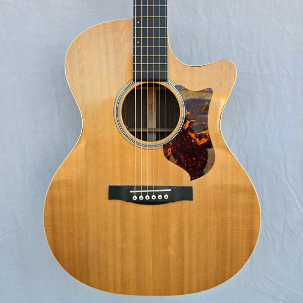 Martin Custom GPCPA4